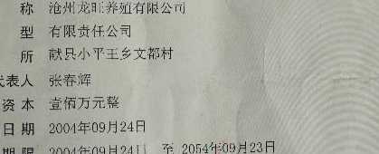 本公司飼養母豬800頭！