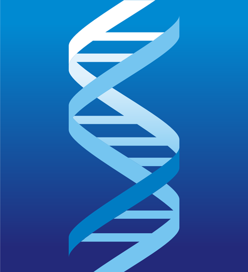 北京中科基因技術有限公司