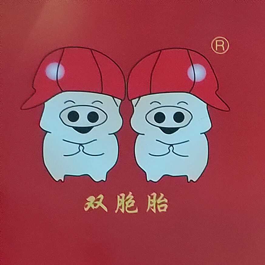 信豐雙胞胎豬業有限公司