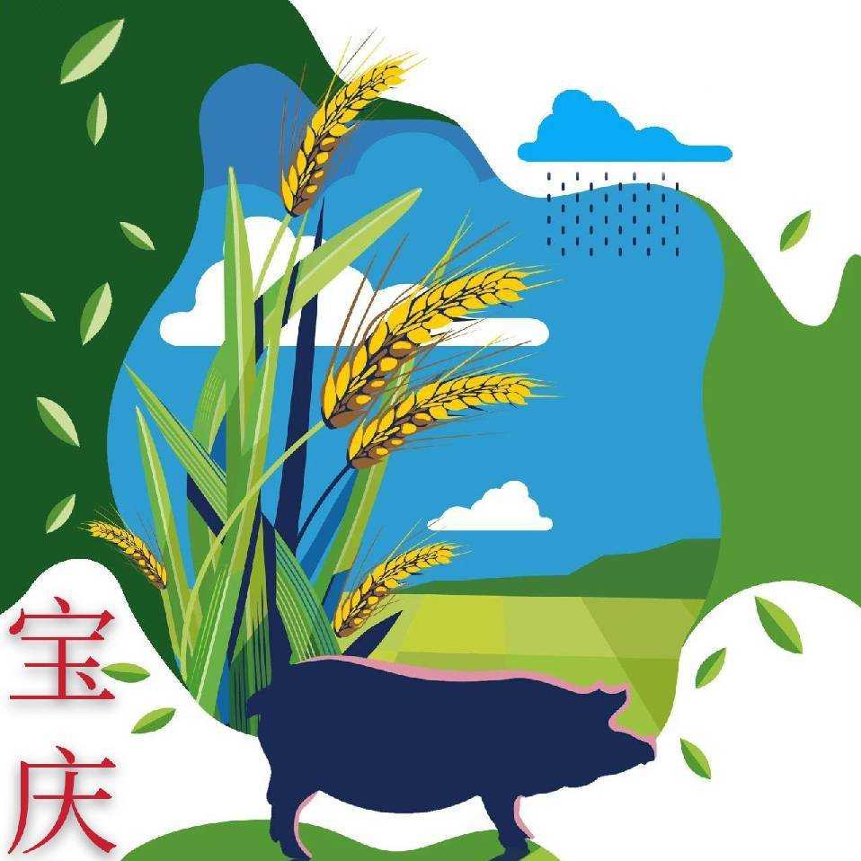 江蘇寶慶動物診療服務有限公司