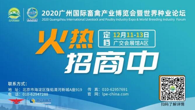 1590635514569384.jpg 1.jpg