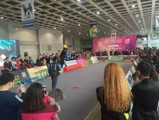 1595840218957022.jpg QQ截圖12.jpg