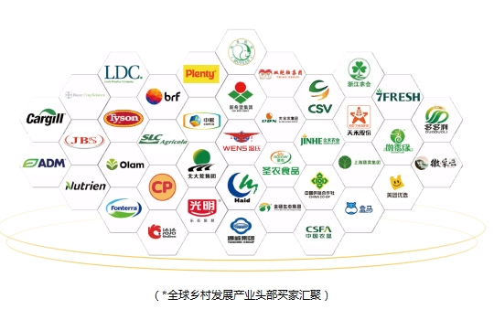 1754032860785893.png 1.png