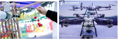 1754033005330823.png 1.png