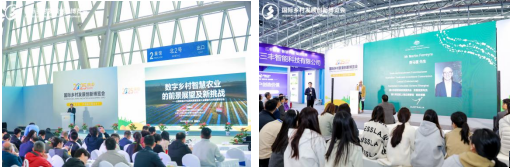 1754033034623684.png 1.png