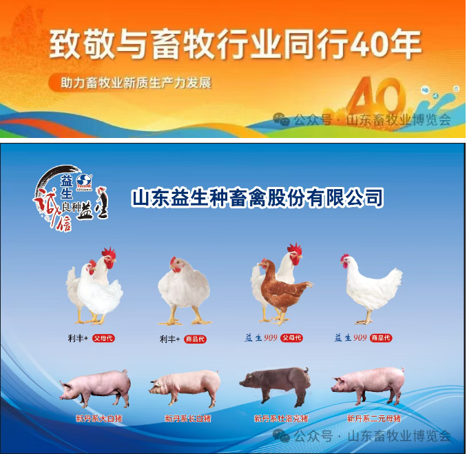 【預登記領好禮】第40屆山東畜牧業博覽會：最新展商名錄、同期會議活動搶先看