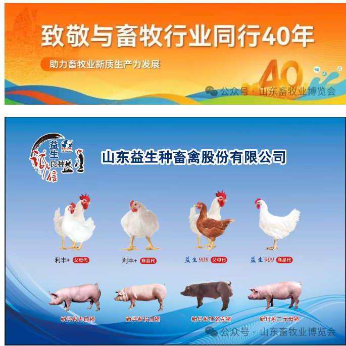 關于舉辦“2025豬業新質生產力論壇”的通知